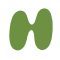 GroenArtboard 13